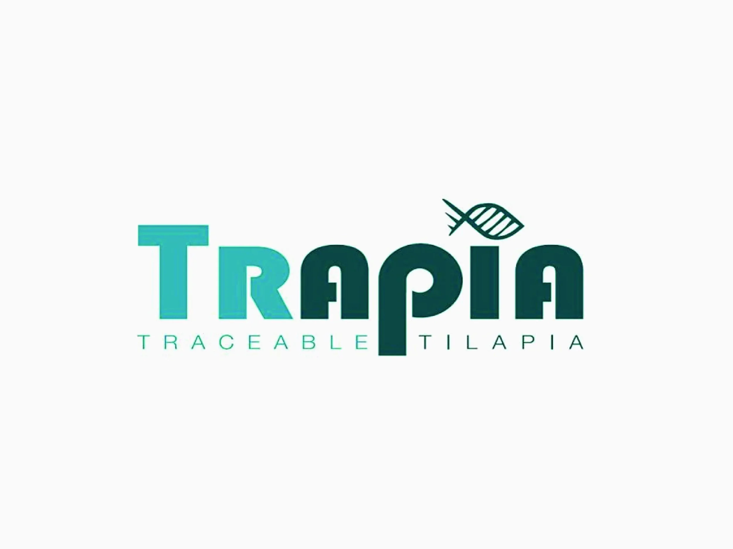  Trapia  / Perak, Malaysia / Prosjektstart 2005 / 85 % eierandel /  Trapia er en bærekraftig oppdretter av Tilapia. Produksjonen skjer i den idylliske innsjøen Temenggor i Malaysia, og selskapet har eget prosessanlegg og eksportvirksomhet   /   Besøk