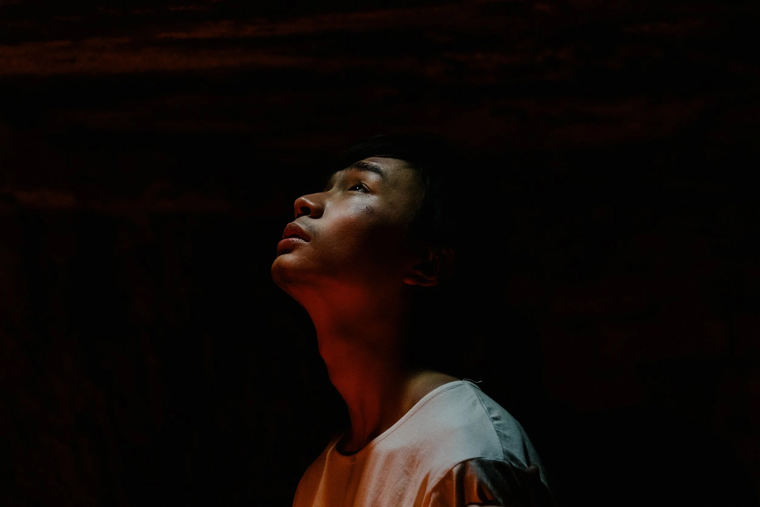 Trek of an Extinct Bird 林中無廬