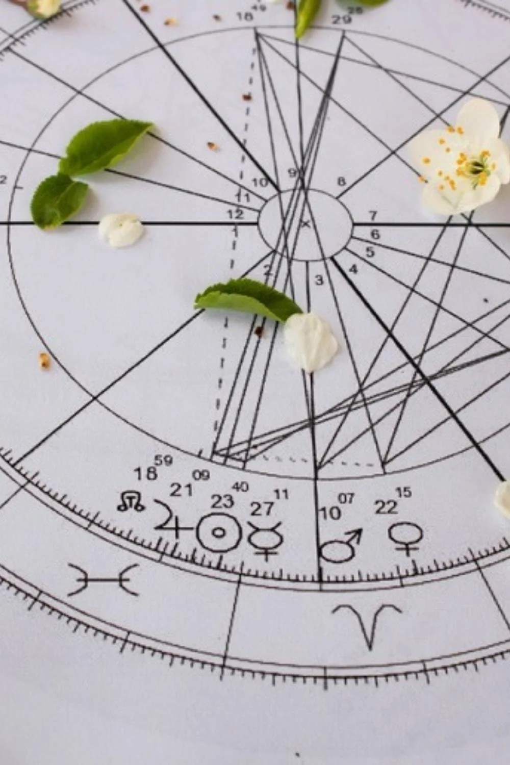 Astrological birth chart wheel showing houses, signs and planetary placements