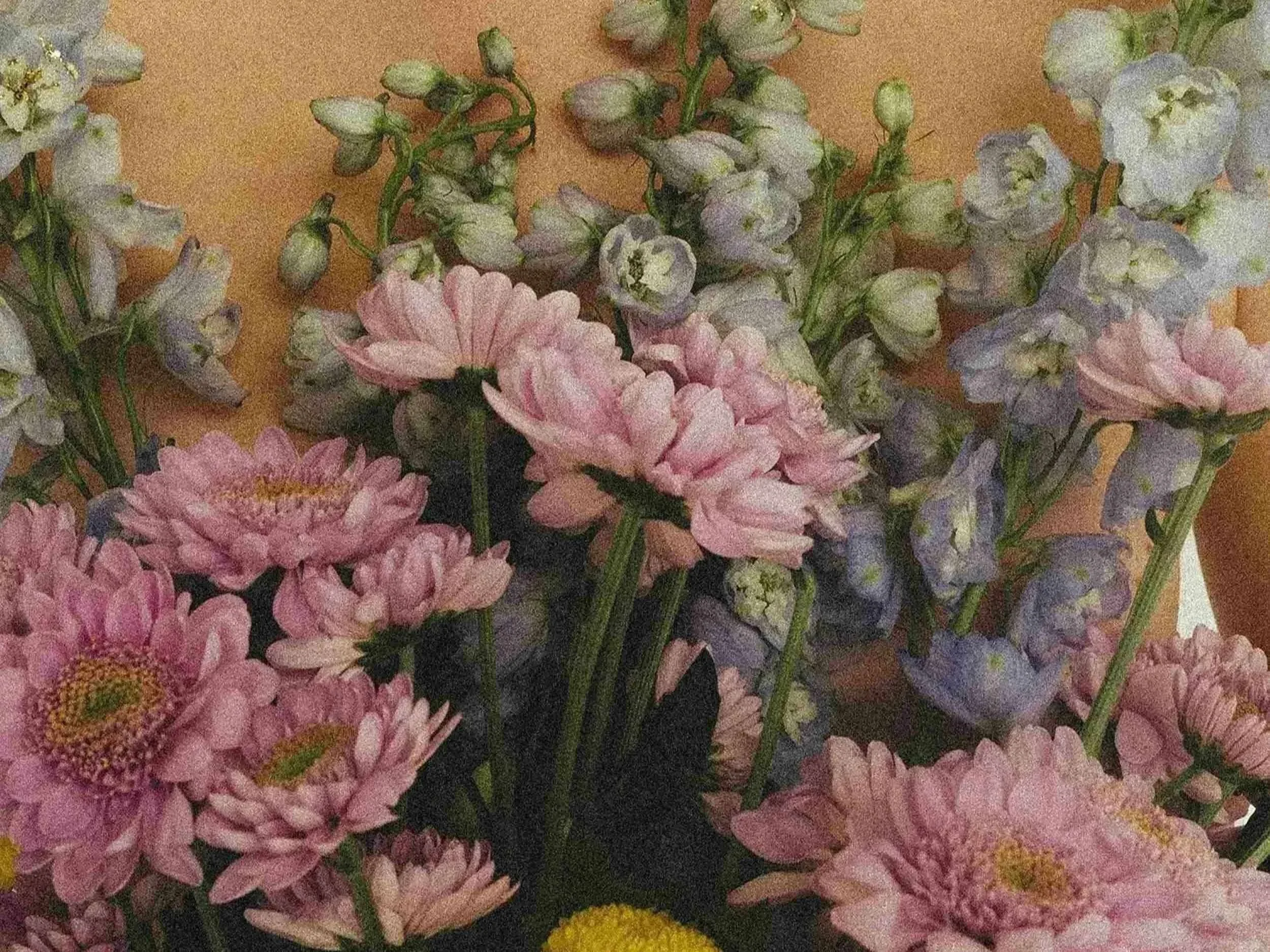 Woman holding flowers to her chest, astrology mentorship at Luna Sanctum