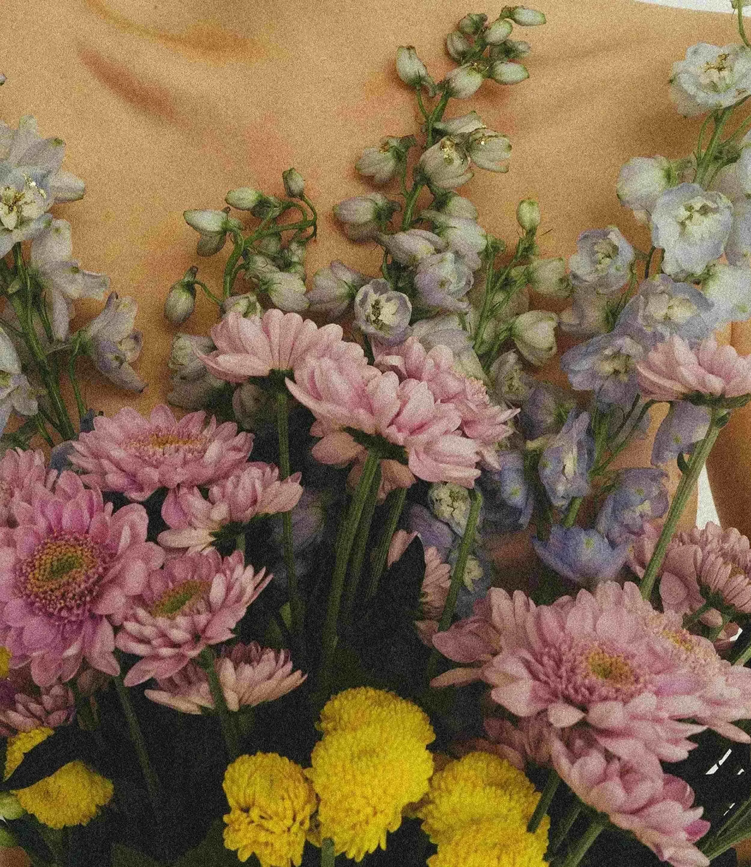 Feminine flowers representing menstrual and lunar wisdom, womb consciousness, and sacred feminine cycles for a self-paced online temple journey