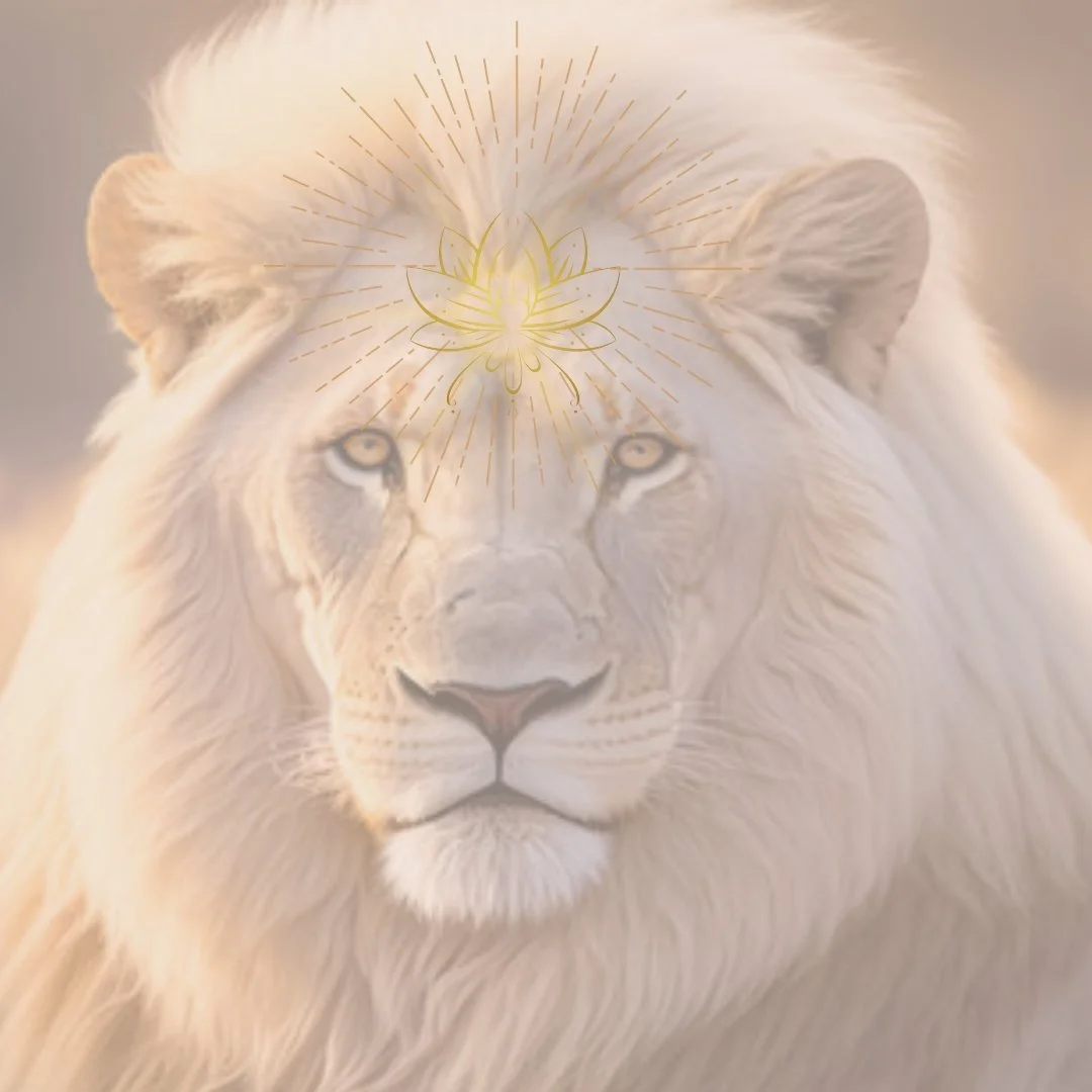 Lion symbolising the 2026 Triple-8 Lion’s Gate Portal, representing cosmic initiation, spiritual sovereignty, and higher purpose activation.