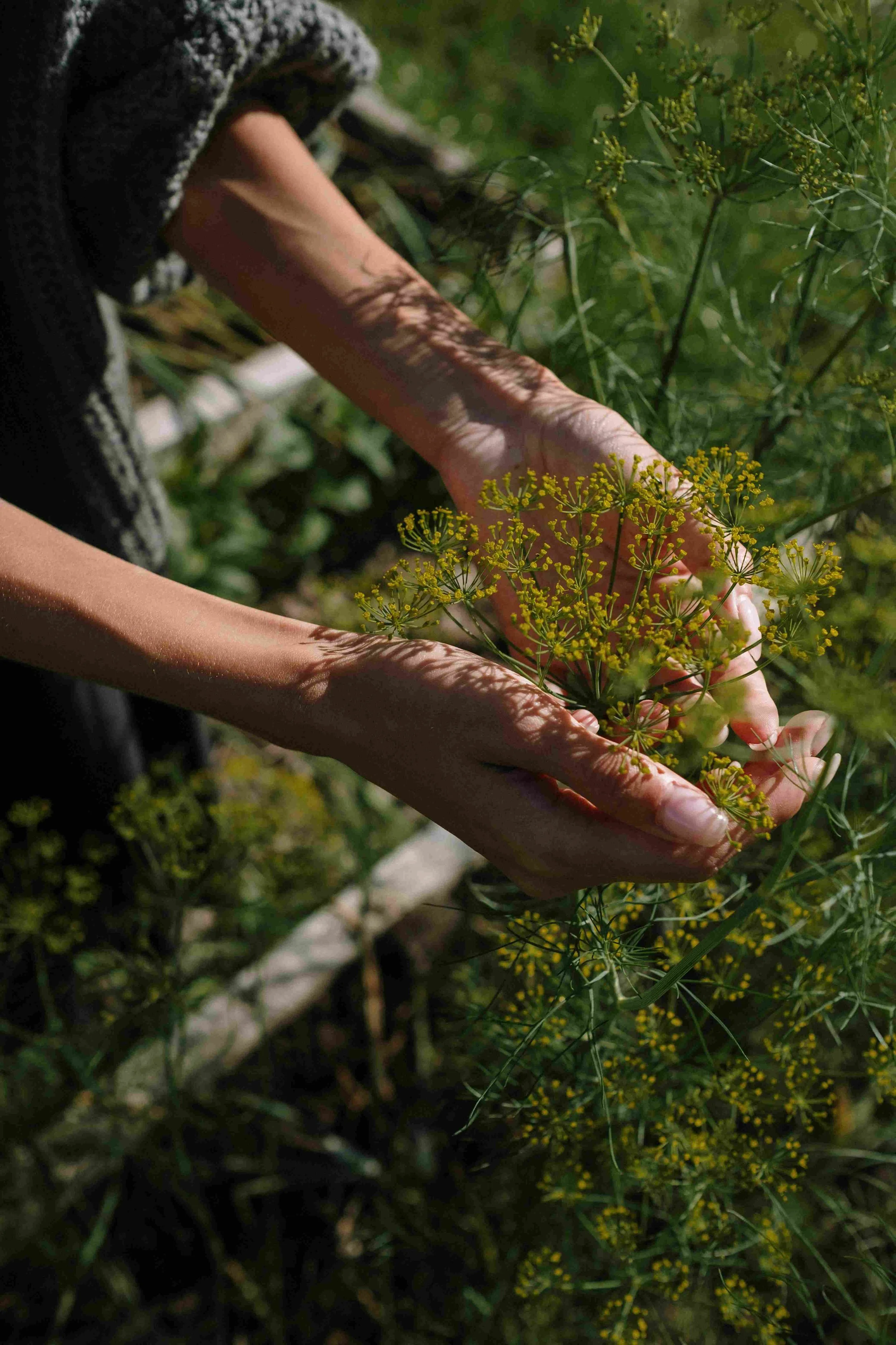 Woman holding herbs