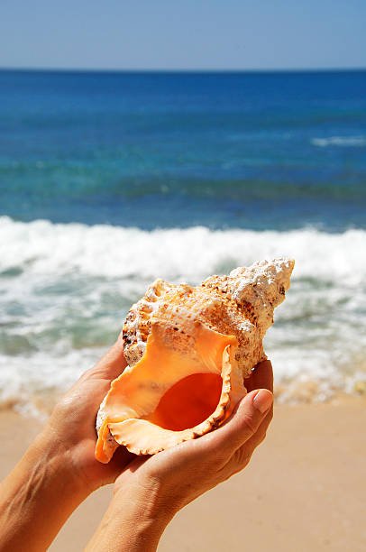 Woman holding a seashell with the ocean behind her