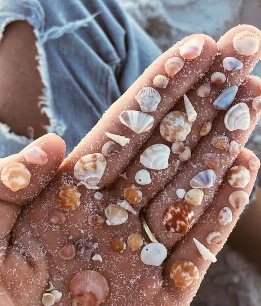Woman's hand holding many small seashells