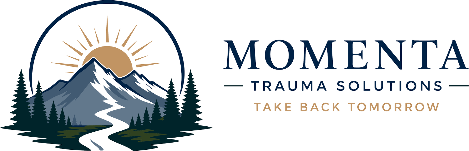 Momenta Trauma Solutions