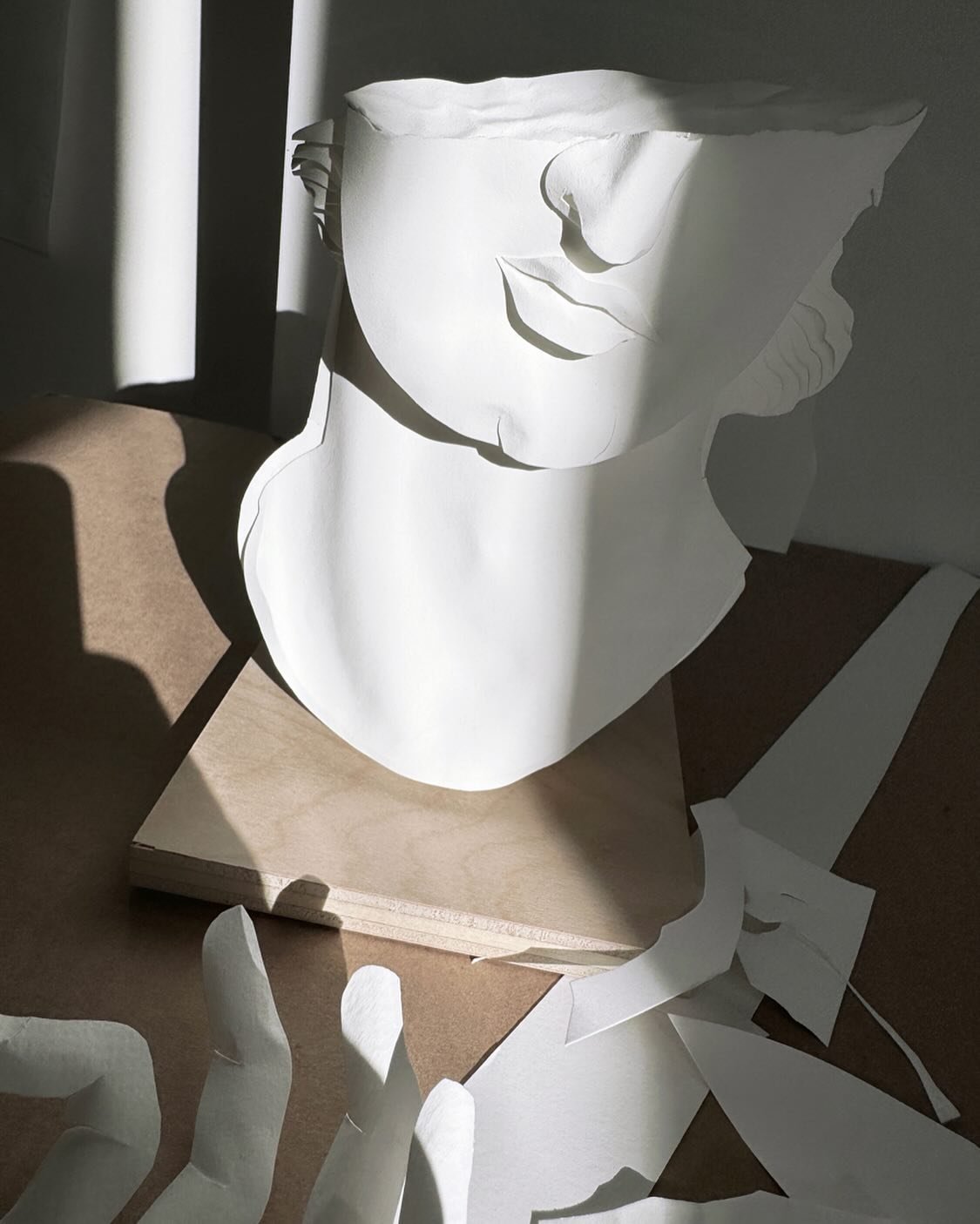 Paper bust / afternoon light

#papersculpture #paperartist #paperart #sculpture