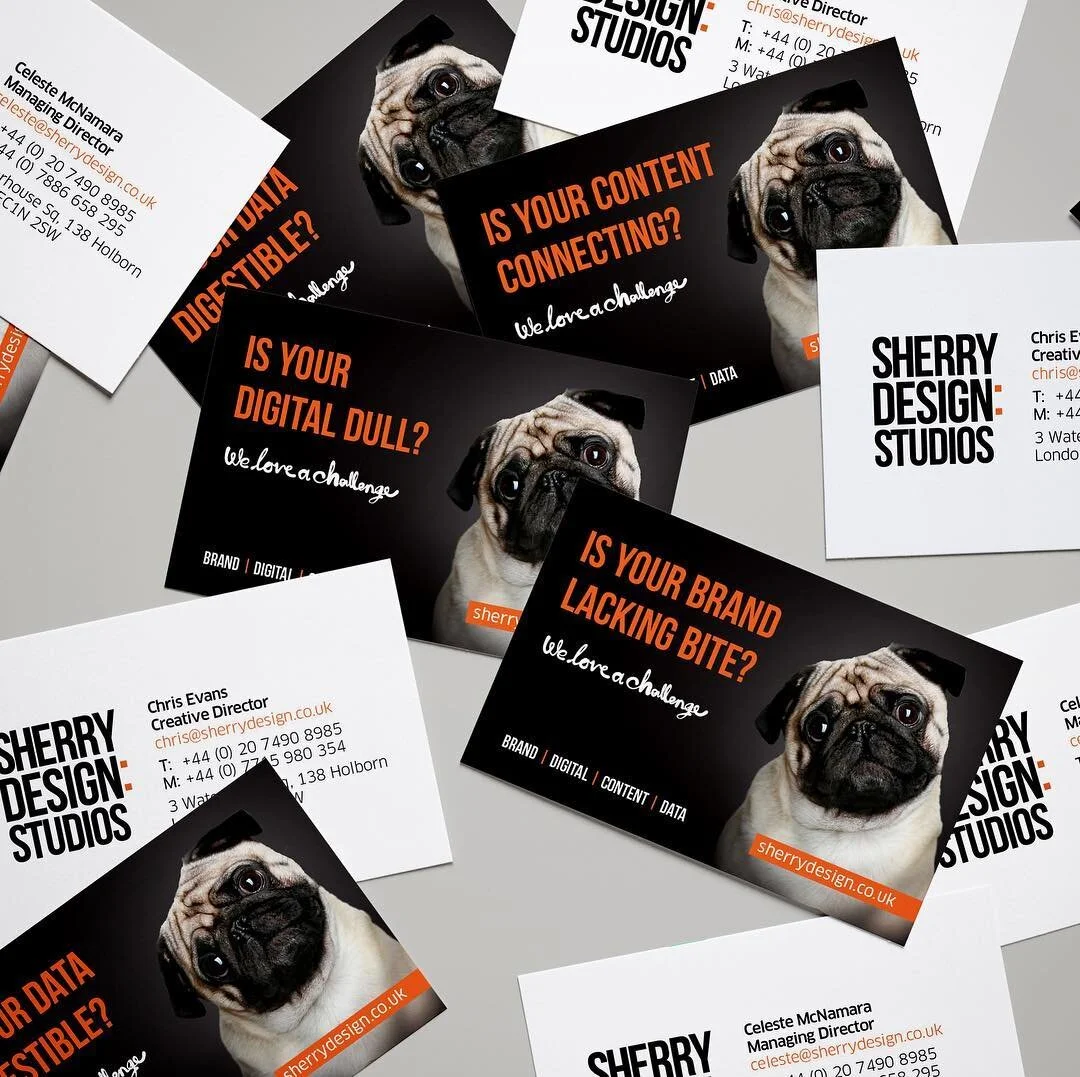Is your brand lacking bite? Is your digital dull? Is your content really connecting? If not, get in touch - we love a challenge! 🐶