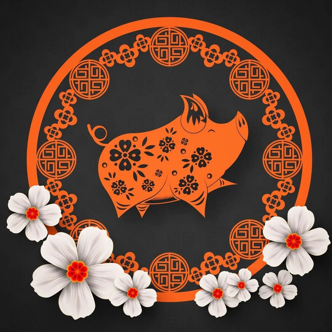 Happy Chinese New Year to friends celebrating today!