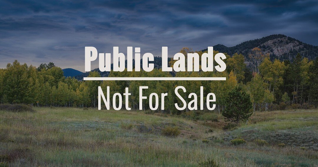 Election Day is just days away. Don&rsquo;t forget to get out and vote if you haven&rsquo;t already, or make a plan to vote next Tuesday, November 8th from 7am-7pm. Vote for Ted, who will fight for our access to public lands!