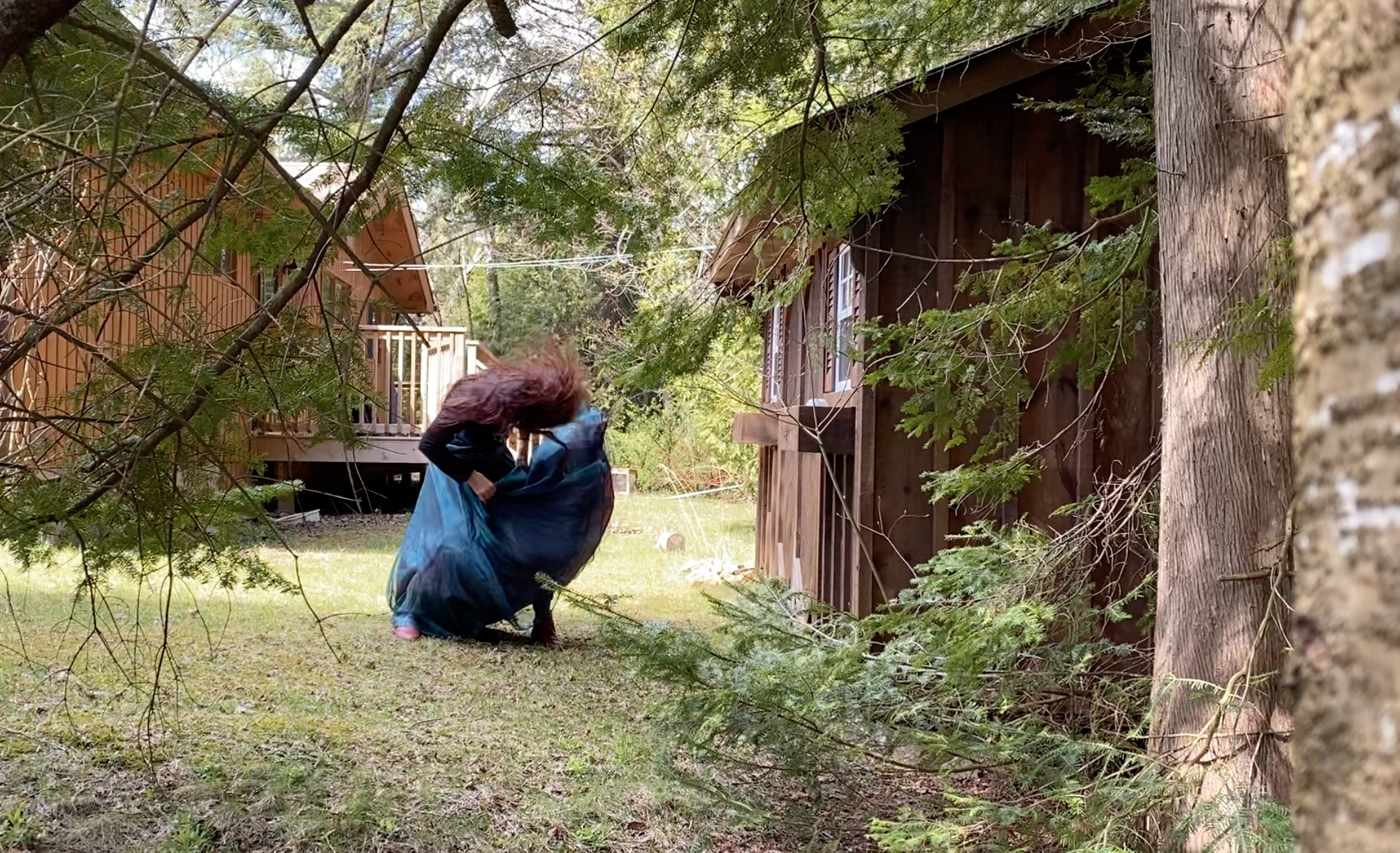 Woman dancing in a blue and black dress, while framed by tree branches