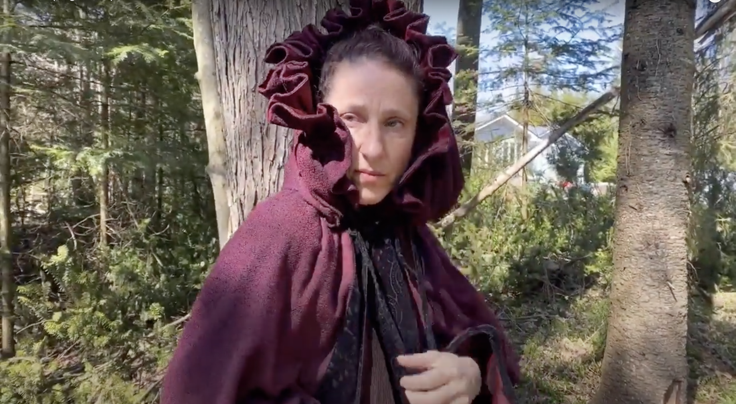 Portrait of a woman in a dark red cloak in the woods