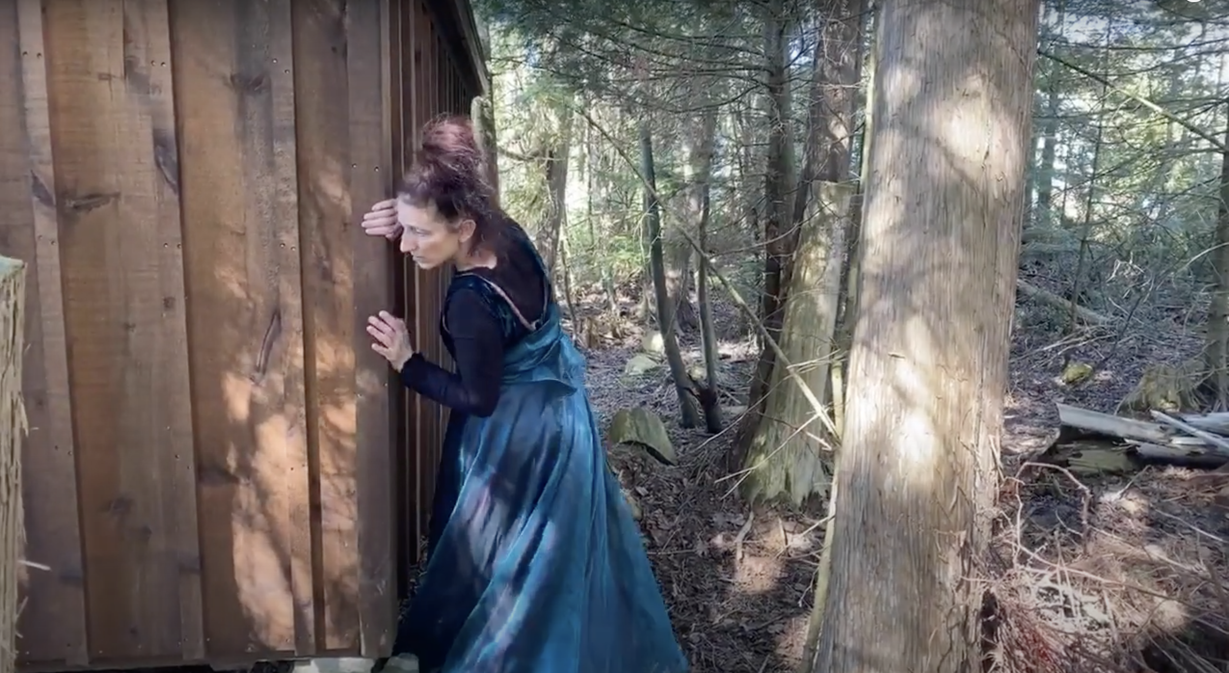 Woman in a blue dress peeking around a wooden shed in a forest area