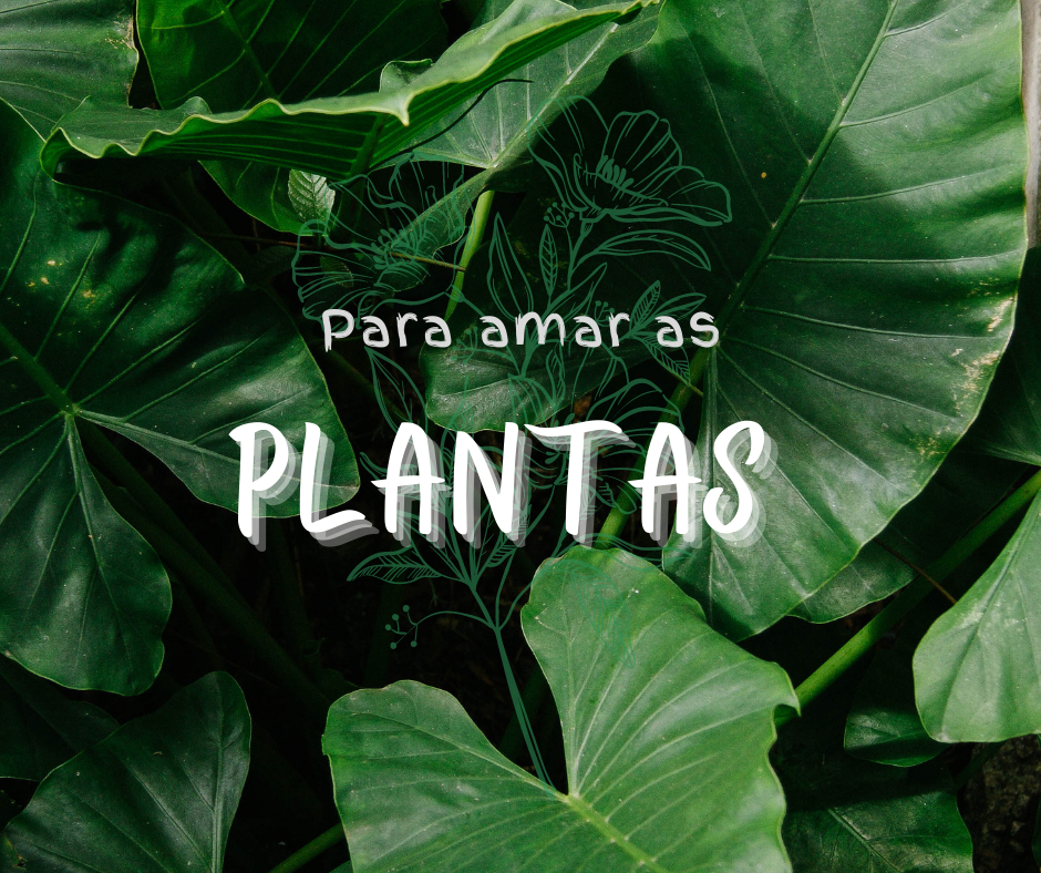 Para amar plantas