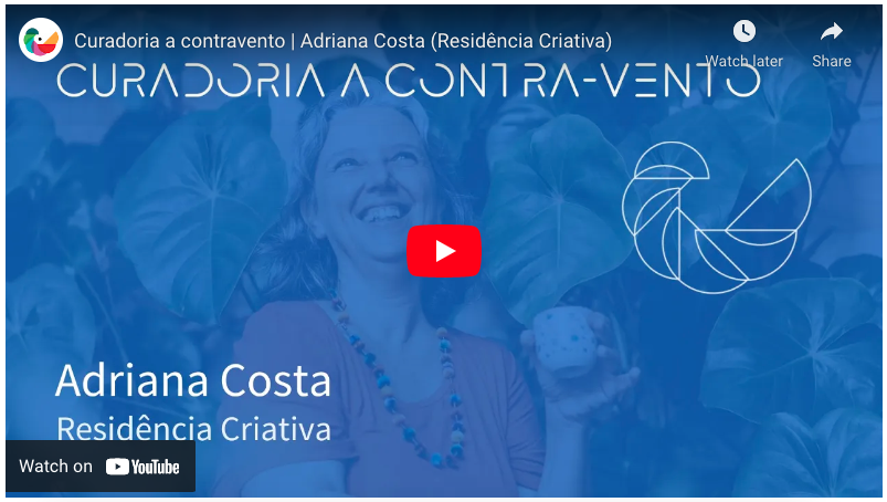 Curadoria a contravento