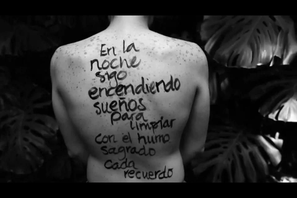 Natália Lafoucarde : música medicina e memória