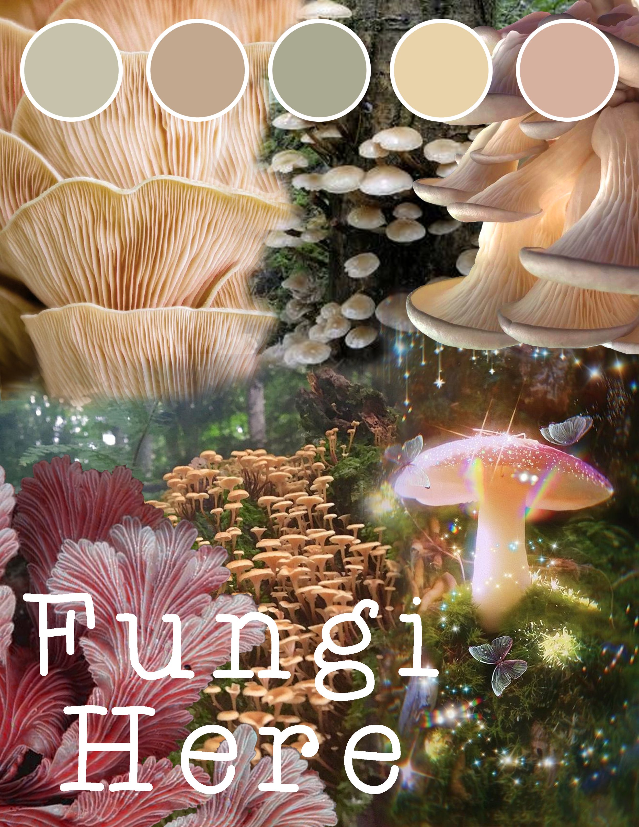 "fungi here"