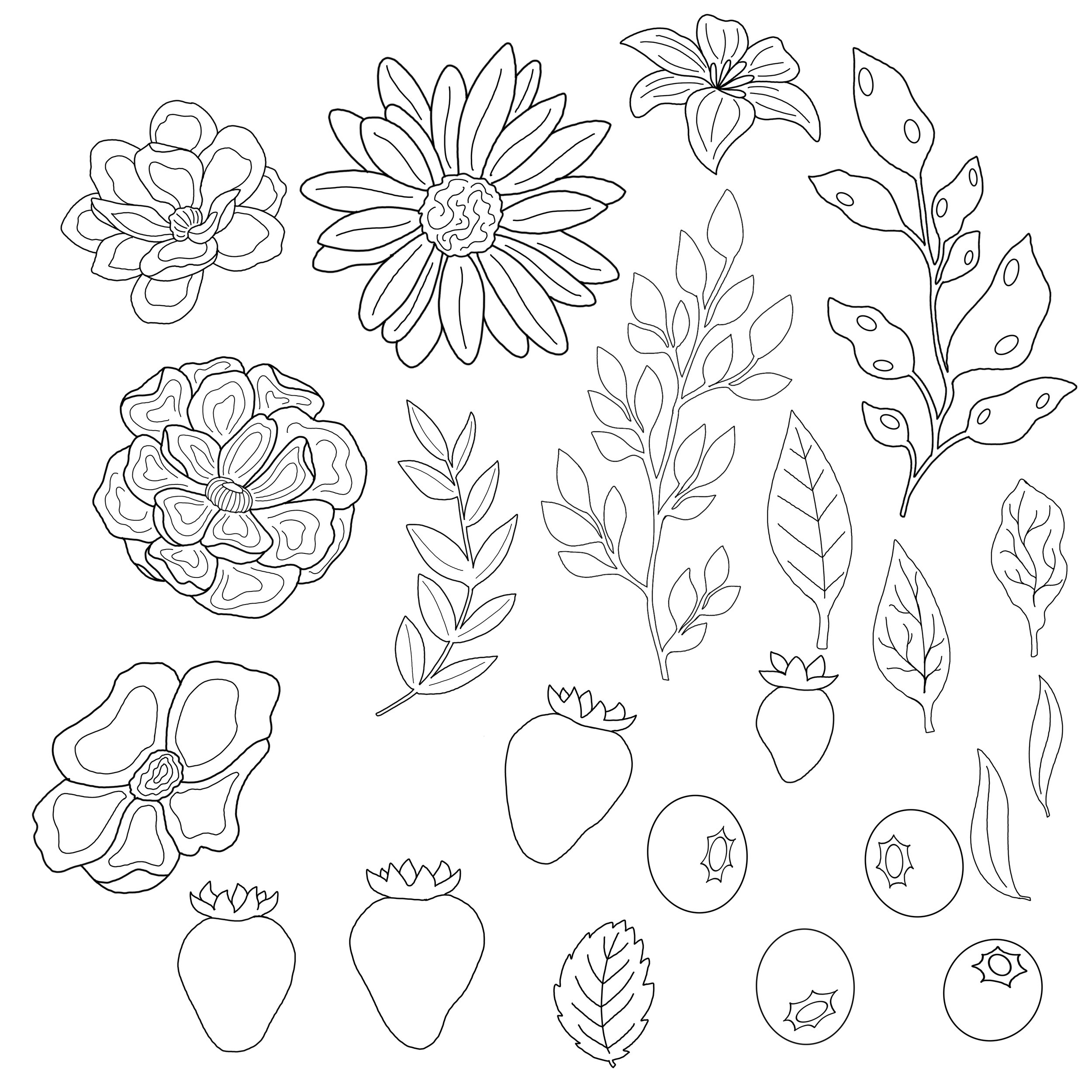 Drawings