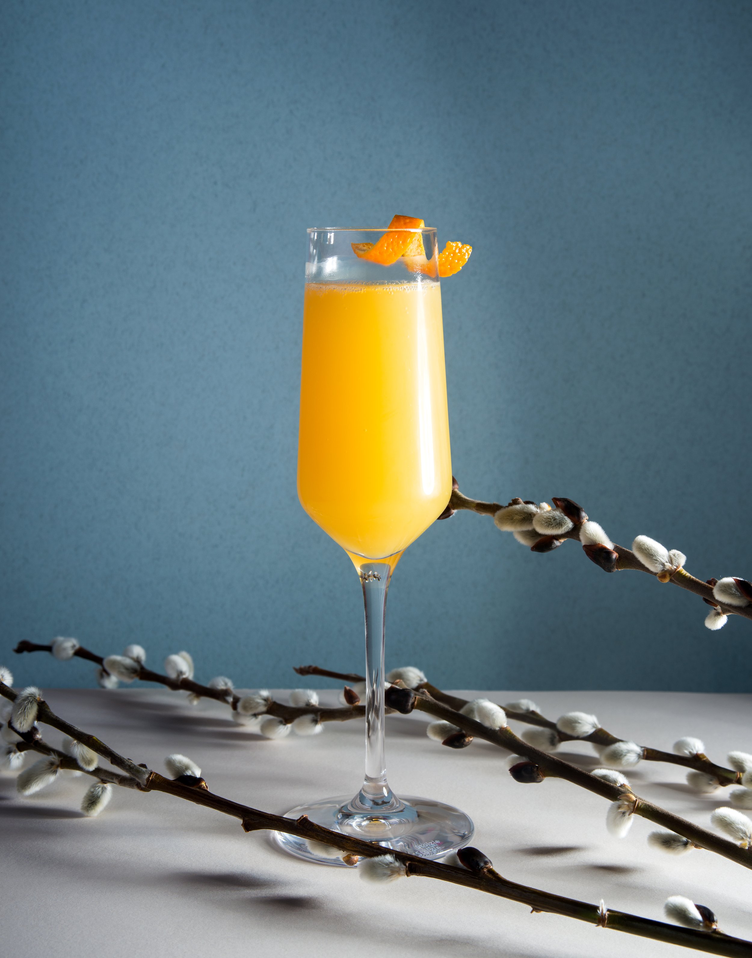 Mimosa002.jpg