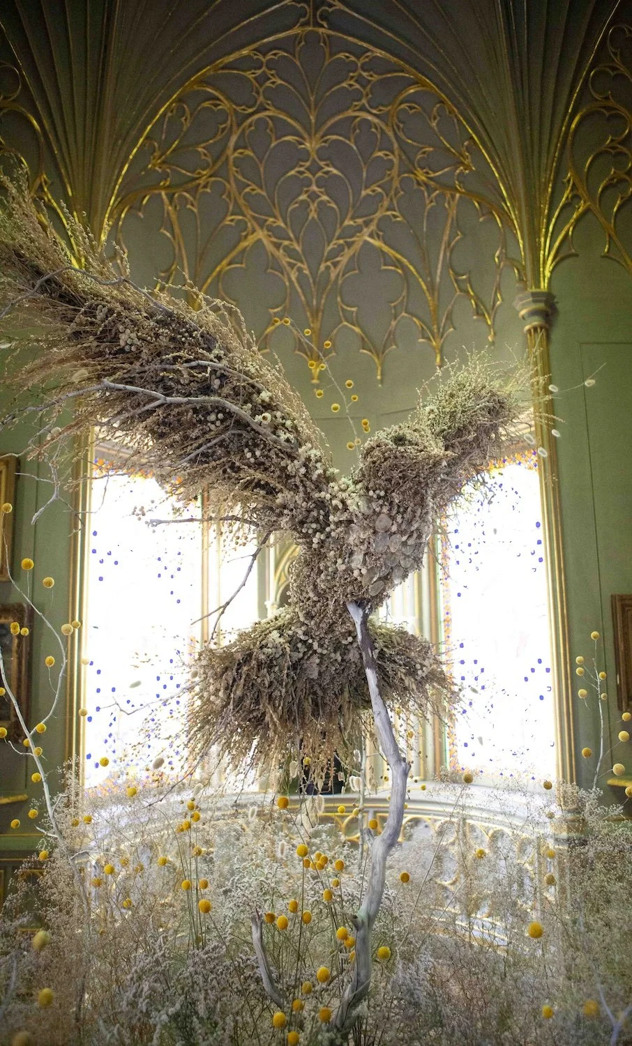 _MG_0319_1 copy.jpeg