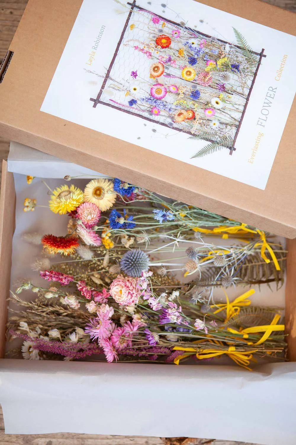 _MG_4443_1 copy.jpeg