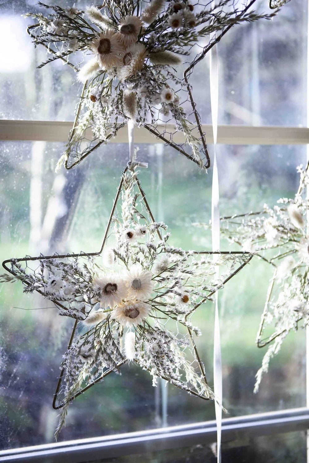 _MG_1704_1 copy.jpeg