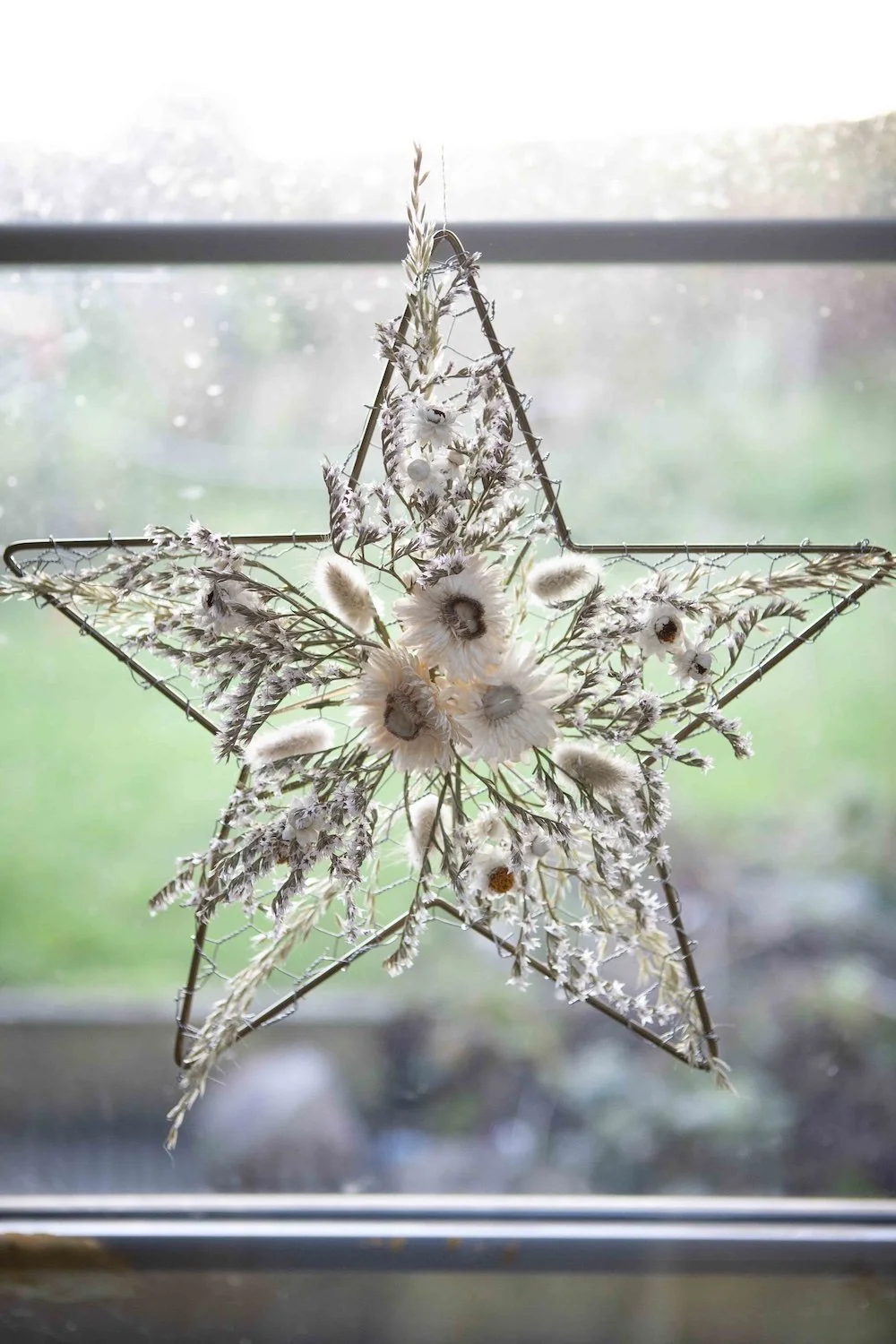 Everlasting Snow Star