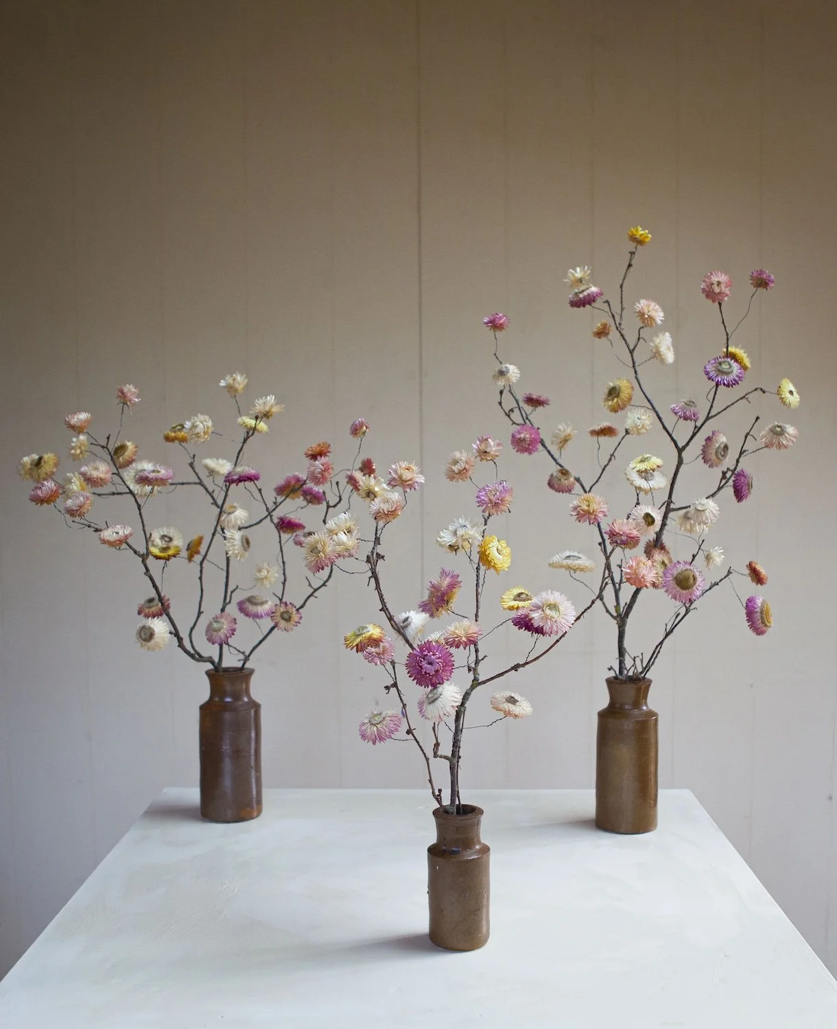 _MG_6530_1 copy.jpeg