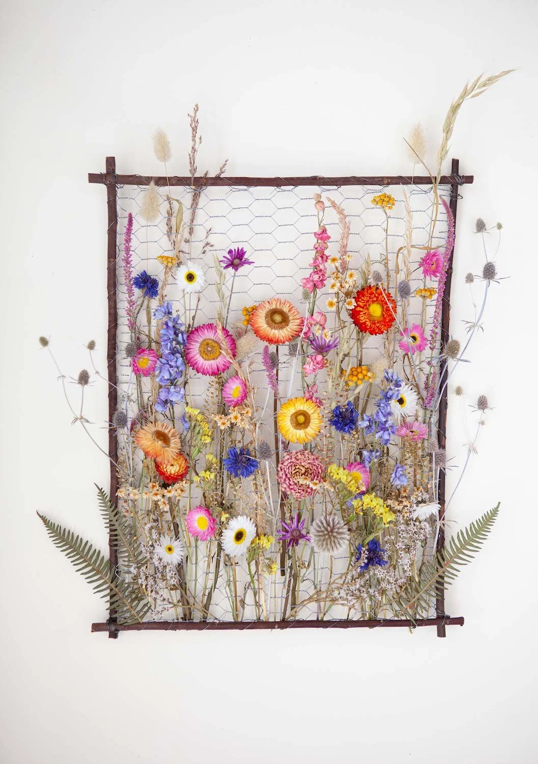 _MG_3595_1 copy.jpeg