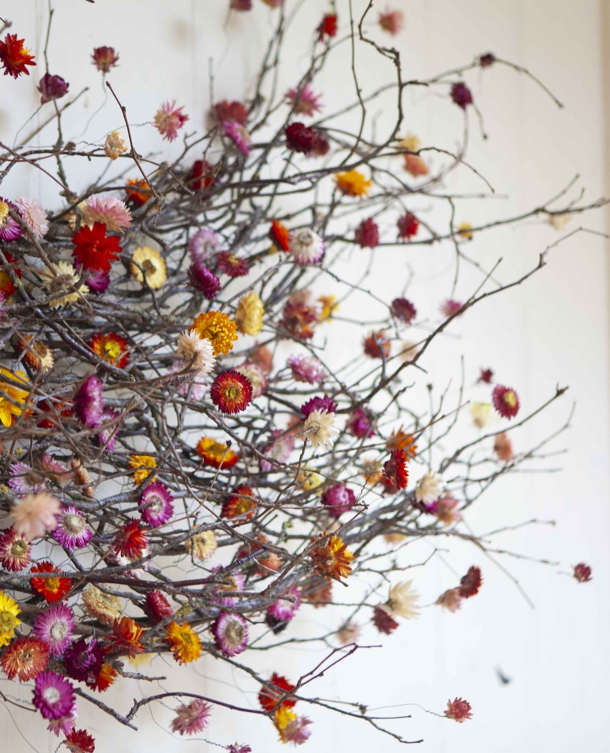 _MG_2199_1 copy.jpeg