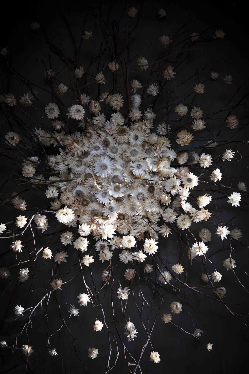 _MG_2297_1 copy.jpeg