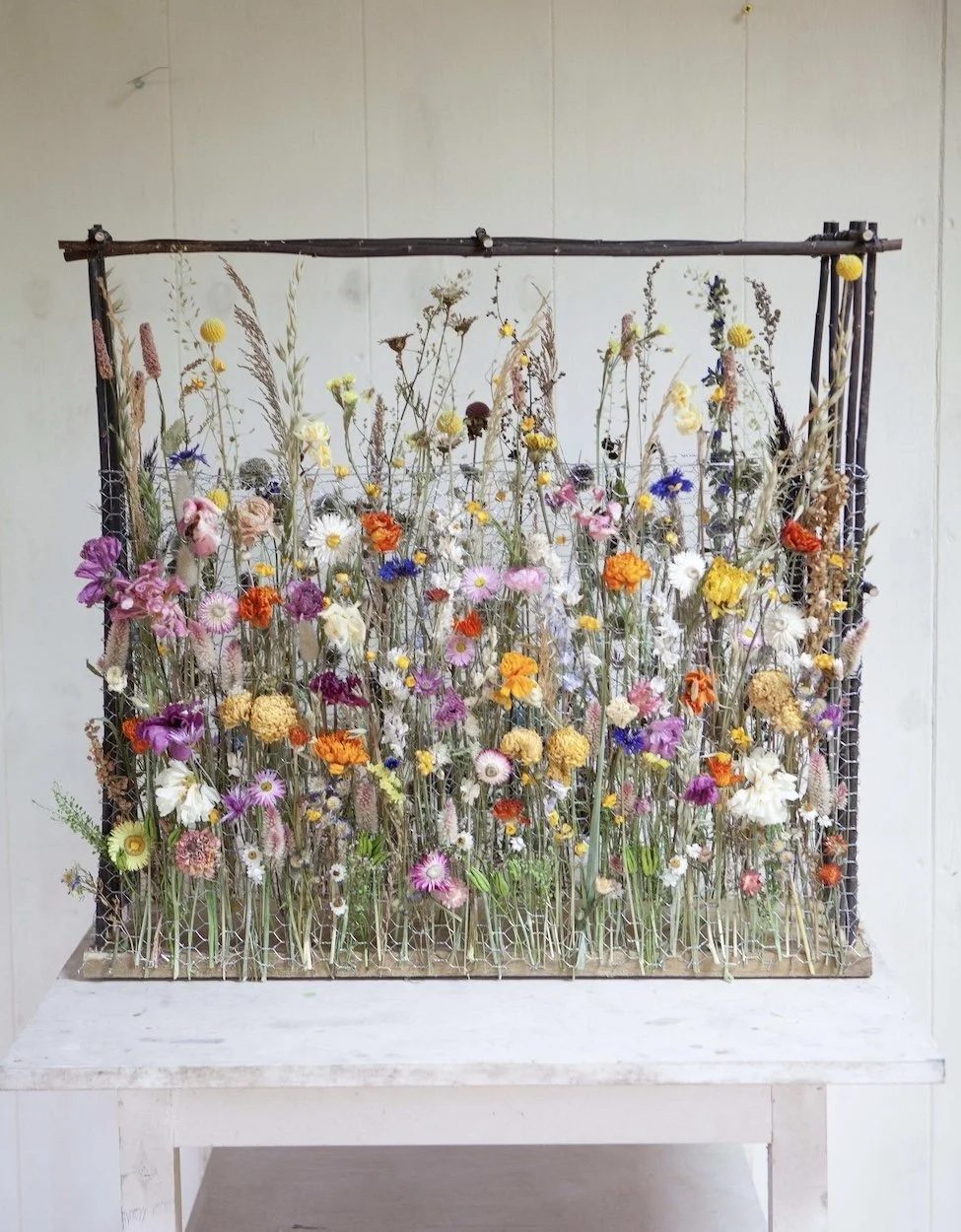 _MG_2165_1 copy.jpeg