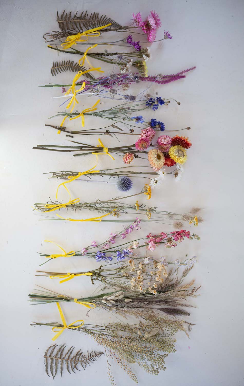 _MG_4364_2 copy.jpeg