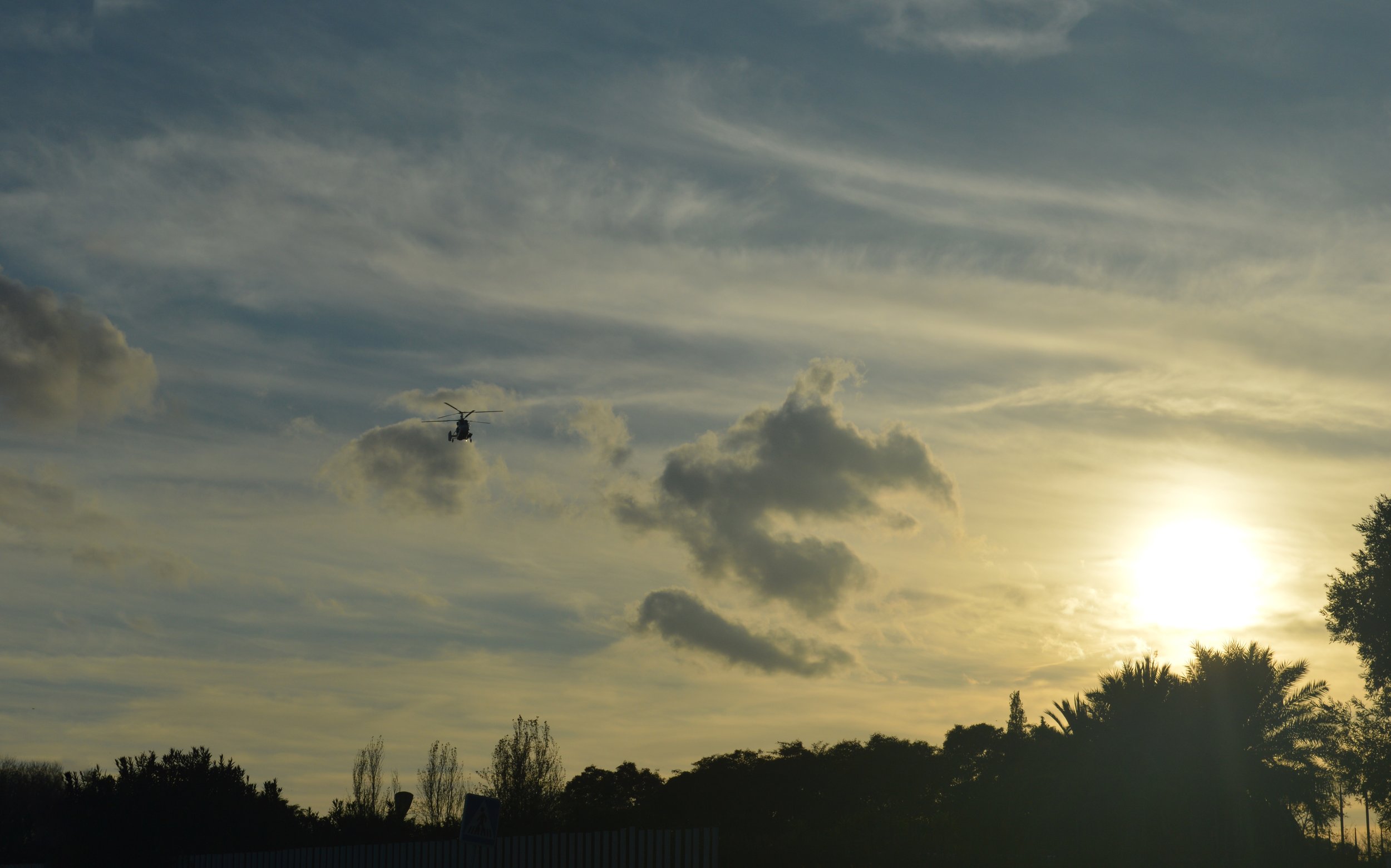 37.XDSC_0261.jpg