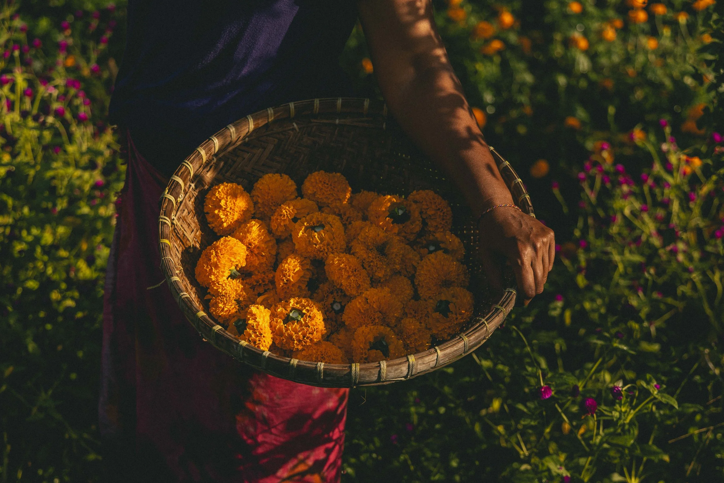 The Story of Made Tea and Ni Made Roni