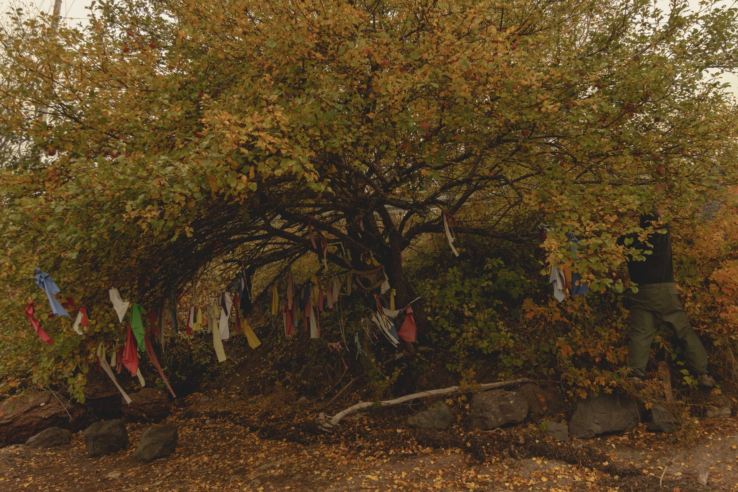 2R3A5496.jpg