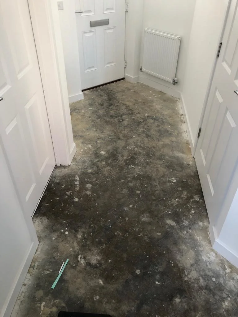 WhatsApp Image 2022-02-19 at 13.25.57 (2).jpeg