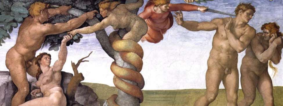 Perhaps the only Solution to the Human Predicament