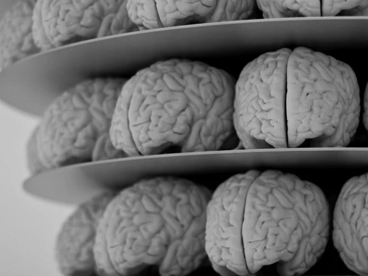 Individual Consciousness and Collective Culture: The Evolution of Consciousness Part 10 