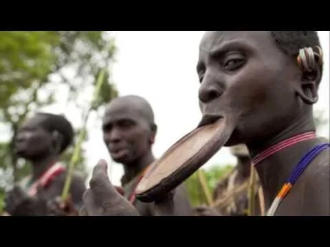 The Cultural and Phenomenological Evolution of Humans: The Evolution of Consciousness Part 9