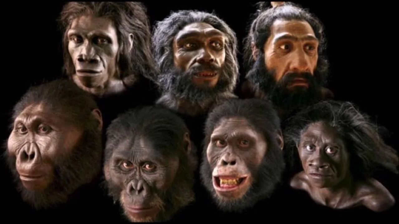 The Biological Evolution of Humans: The Evolution of Consciousness, Part 7 
