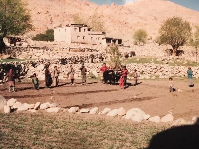 The Days in Life: The Evolution of Consciousness, Part 2