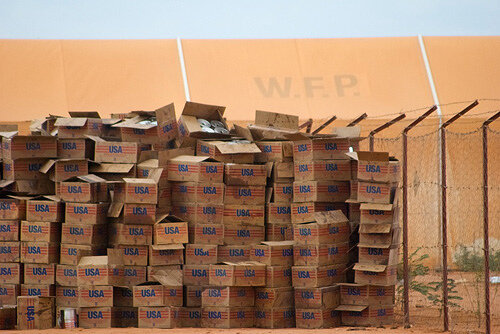 The Political and Business Institutions as Obstacles to Civilization's Resilience: Part VI