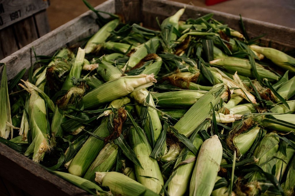 Fresh, husked ears of corn in a wooden crate at a market.