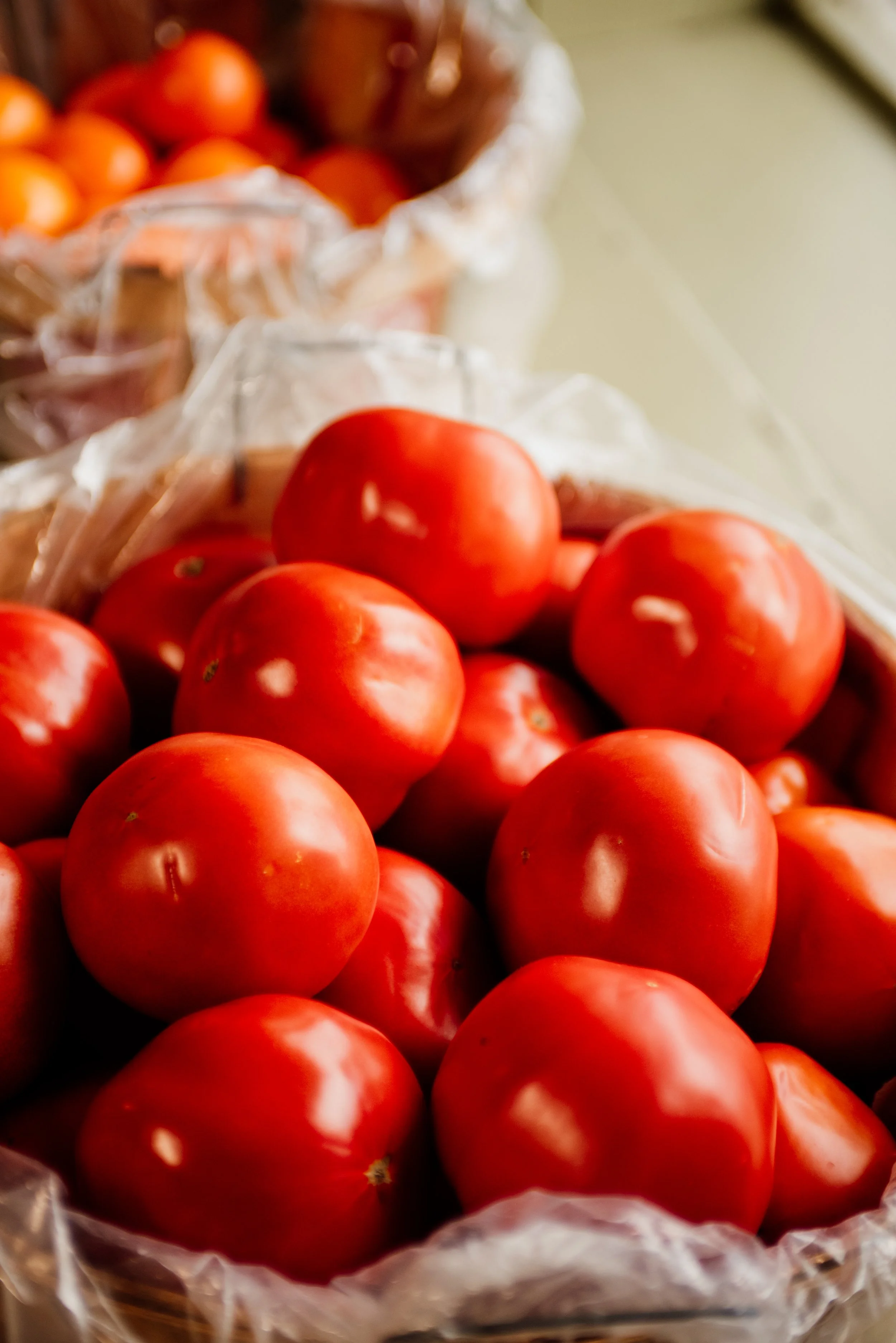 2026-chloe-miller-photography-132.jpg