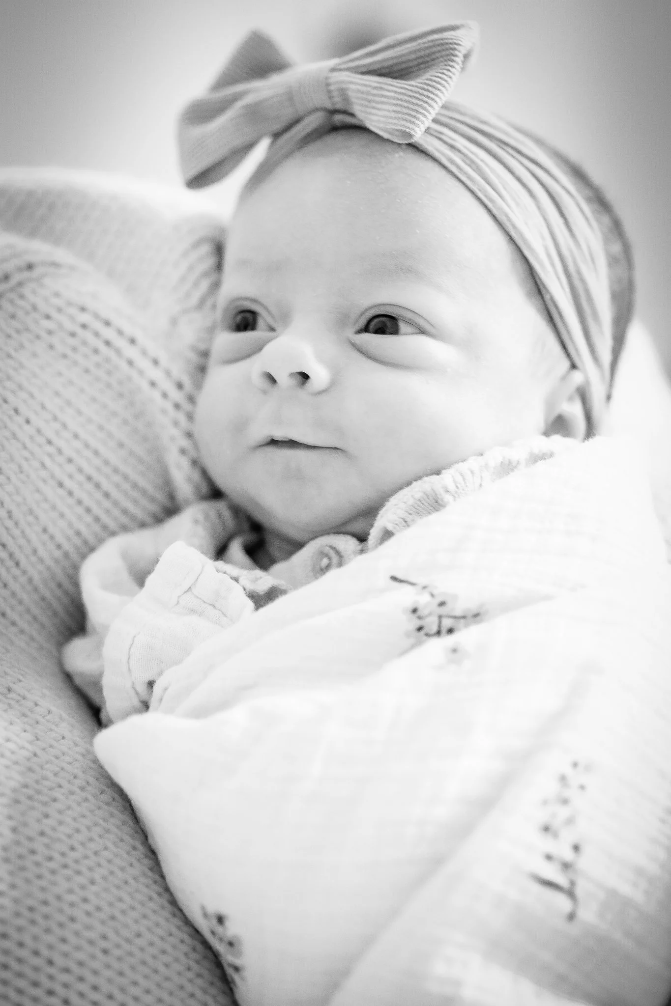 DSCF6631 2_(2048).jpg