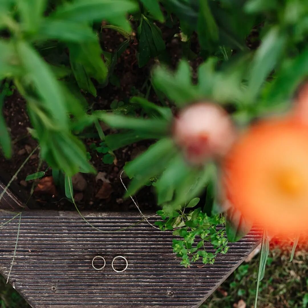 🦋&bull;ob koncu poročnega dne, ko pakirava opremo nazaj v nahrbtnike in se odpravljava proti domu, največkrat načneva temo &quot;ve&scaron;, kako dobra fotografija mi je uspela tam in tam&quot;. 🙉
&bull;
Mogoče gredo misli najprej k perfektnim port