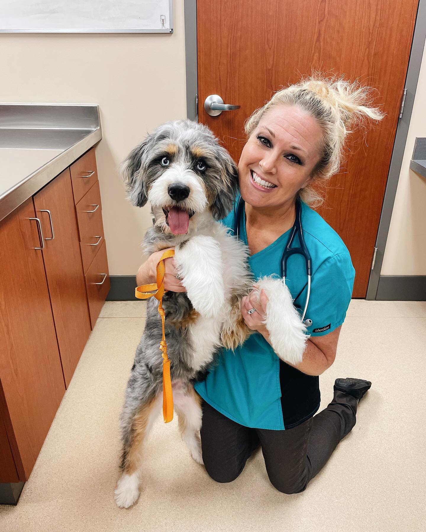 HAPPY WEDNESDAY! 🐶🐱

Just a Dr. Pearman appreciation post! Did you know Dr. Pearman use to be a vet at a zoo in Oregon? She is happy to see exotics such as reptiles, pocket pets and rabbits. She loves spending time with her family, traveling, readi
