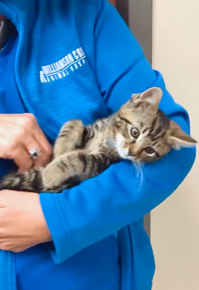 Screen Shot 2024-02-09 at 12.51.29 PM.png