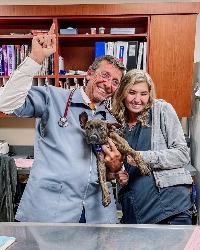 Careers — Williamson County Animal Hospital